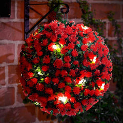 COLOURED SOLAR TOPIARY BALL LIGHTS (8)